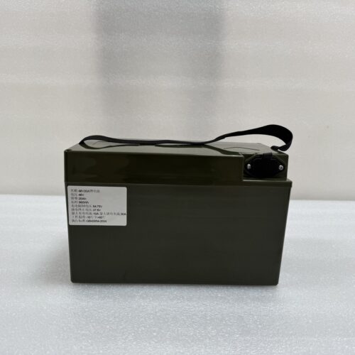 48V20Ah E-bike Lithium Battery - Electric Two Wheeler &am...