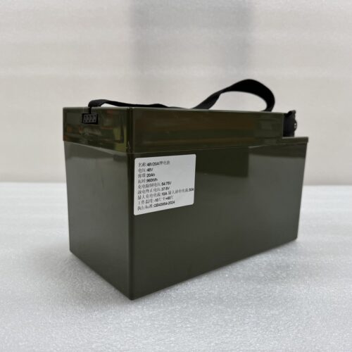 Lithium-Akku für elektrische Zweiräder und Dreiräder